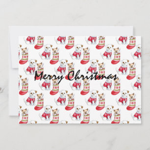 Invitation Noel Chien & Chat Stockings