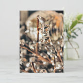 Invitation Noël Disco (Debout devant)