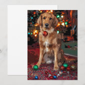 Invitation Noël Golden Retriever (Devant / Derrière)
