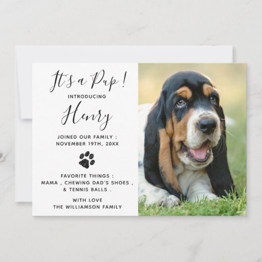 Invitation Nouveau Pet Chien Chien Chien Chien Parti (Devant)
