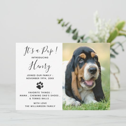 Invitation Nouveau Pet Chien Chien Chien Chien Parti (Debout devant)