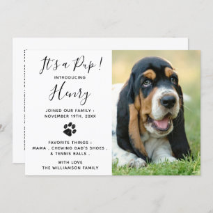 Invitation Nouveau Pet Chien Chien Chien Chien Parti