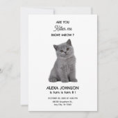 Invitation Nouvel anniversaire de chaton mignonne (Devant)