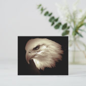 Invitation Œil d'aigle américain chauve Invite (Debout devant)