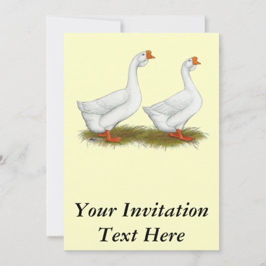 Invitation Oie blanche africaine (Devant)