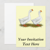 Invitation Oie blanche africaine (Devant / Derrière)