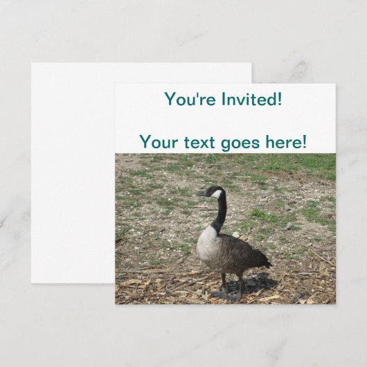 Invitation Oie canadienne (Devant / Derrière)