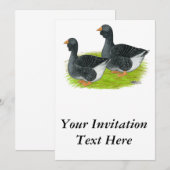 Invitation Oie de Toulouse Dewlap (Devant / Derrière)