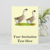 Invitation Oies : Buff Africain (Debout devant)