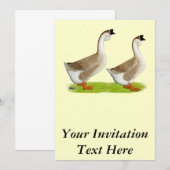 Invitation Oies : Buff Africain (Devant / Derrière)