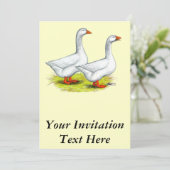 Invitation Oies :  Paire Embargo (Debout devant)