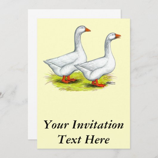 Invitation Oies :  Paire Embargo (Devant / Derrière)