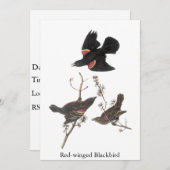 Invitation Oiseau à ailes rouges, John Audubon (Devant / Derrière)