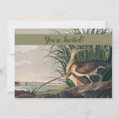 Invitation Oiseau de Courlis à long bec Audubon (Devant)