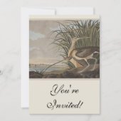 Invitation Oiseau de Courlis à long bec Audubon (Devant)