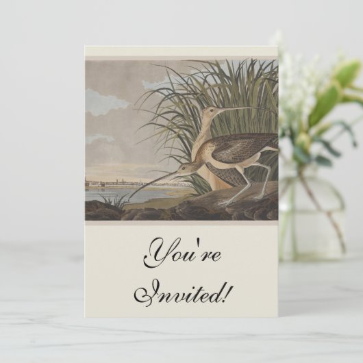 Invitation Oiseau de Courlis à long bec Audubon (Debout devant)