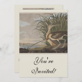 Invitation Oiseau de Courlis à long bec Audubon (Devant / Derrière)