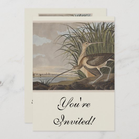 Invitation Oiseau de Courlis à long bec Audubon (Devant / Derrière)