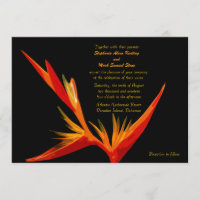 Oiseau d'invitation de paradis