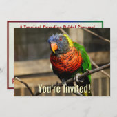 Invitation Oiseau Tropical Loriquet Perruche (Devant / Derrière)