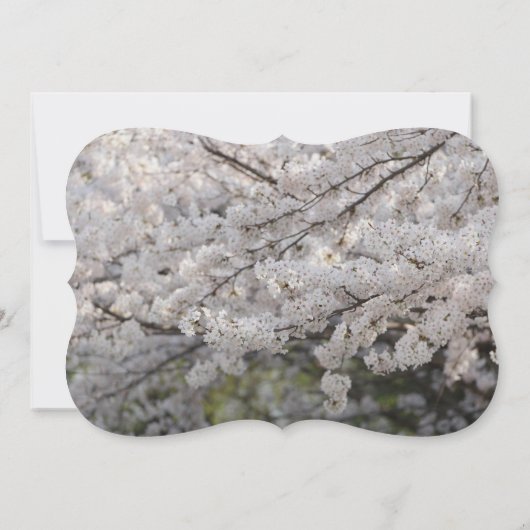 Invitation Oiseaux de nuit Aiment Branches Destin Destinée (Dos)