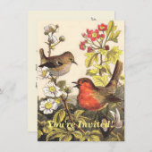 Invitation Oiseaux de printemps Robin Oiseaux rouges (Devant / Derrière)