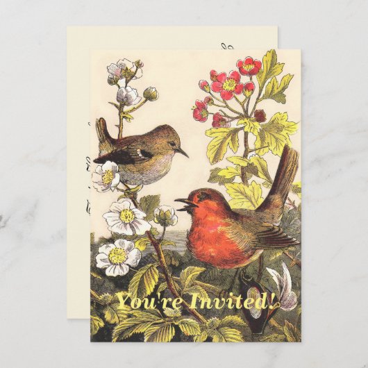 Invitation Oiseaux de printemps Robin Oiseaux rouges (Devant / Derrière)