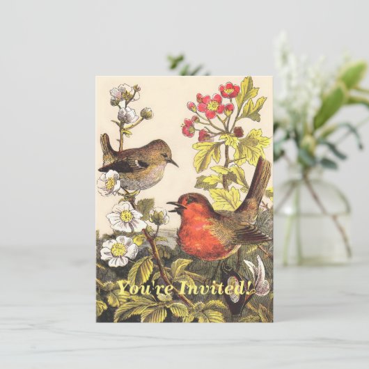 Invitation Oiseaux de printemps Robin Oiseaux rouges (Debout devant)