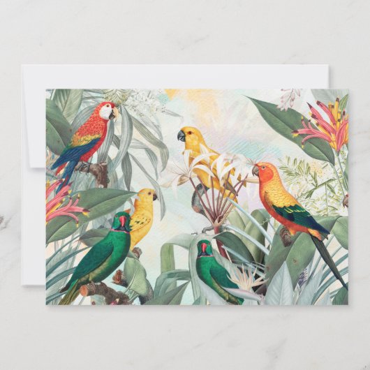 Invitation Oiseaux exotiques (Dos)