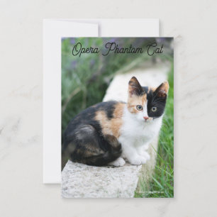 Invitation Opera Phantom Chat