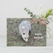 Invitation Opossum Photo Anniversaire (Debout devant)