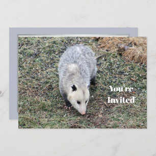 Invitation Opossum Photo Anniversaire