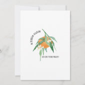 Invitation Orange a Little Cutie Aquarelle Eucalyptus Douche (Dos)