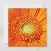 Invitation Orange Daisy 80e anniversaire (Dos)