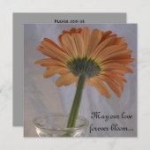 Invitation Orange Gerber Daisy Mariage (Devant / Derrière)