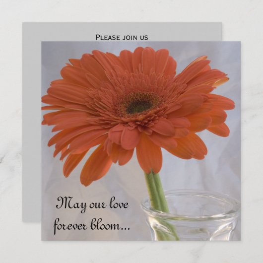 Invitation Orange Gerber Daisy Mariage (Devant / Derrière)