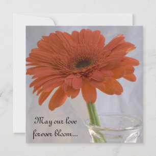Invitation Orange Gerber Daisy Mariage