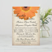 Invitation Orange Gerber Daisy Rustic Mariages campagnards In (Debout devant)