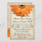Invitation Orange Gerber Daisy Rustic Mariages campagnards In (Devant / Derrière)