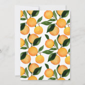 Invitation Orange Green Notre Petite Cutie Premier Anniversai (Dos)