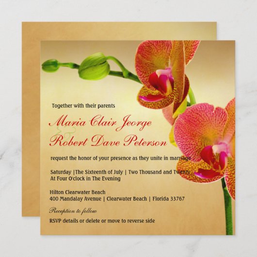 Invitation Orange Orchidées Plage tropicale Destination Maria (Devant / Derrière)