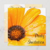 Invitation Orange Spring Flash African Daisy Photo (Devant / Derrière)