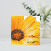 Invitation Orange Spring Flash African Daisy Photo (Debout devant)