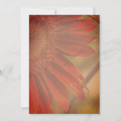 Invitation Orange Sunflower Flower Bridal Shower  (Dos)