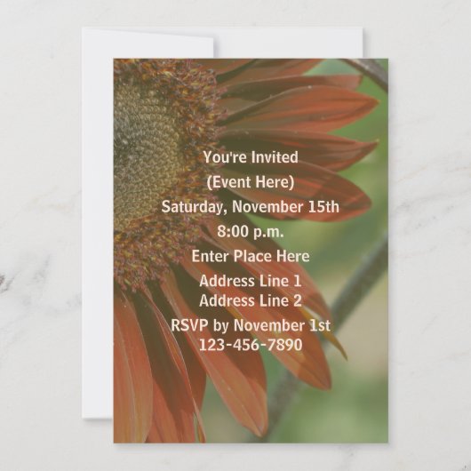 Invitation Orange Sunflower Petals Party (Devant)