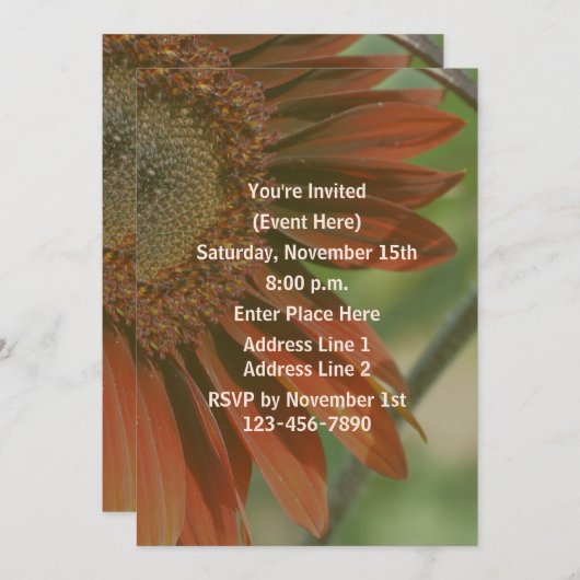Invitation Orange Sunflower Petals Party (Devant / Derrière)