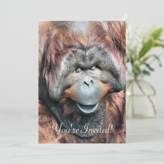 INVITATION ORANGUTANS (Debout devant)