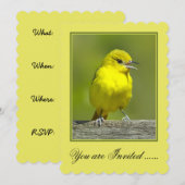 Invitation Orchard Oriole - Photo originale (Devant / Derrière)