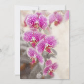 Invitation Orchestre rose de la florale du Rat chinois (Dos)