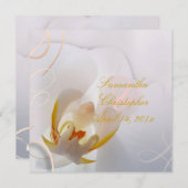 Invitation Orchidée blanche de Pix-Dezines| Rose pâle + blanc (Devant / Derrière)